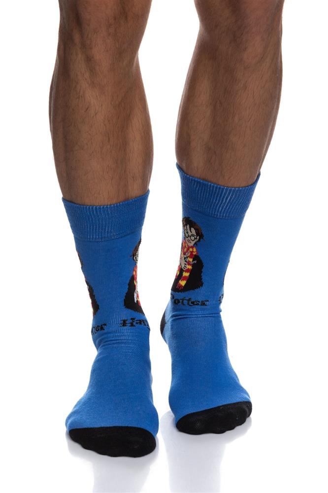 ΑΝΔΡΙΚΗ ΒΑΜΒΑΚΕΡΗ ΚΑΛΤΣΑ ΙΝΙΖΙΟ ΣΧΕΔΙΟ ΧΑΡΙ ΠΟΤΕΡ 4194-02-1 ΜΠΛΕ φωτογραφία